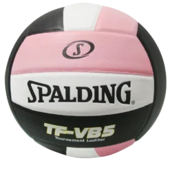 Spalding TF-VB5 Tournament Leather Volleyball 25 Spalding TF-VB5 Tournament Leather Volleyball -volleyball 72 1368 11728.1380587011