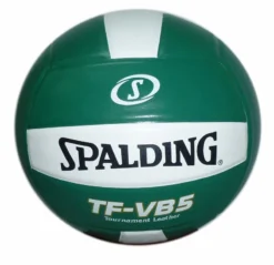 Spalding TF-VB5 Tournament Leather Volleyball 34 Spalding TF-VB5 Tournament Leather Volleyball -volleyball Copy of 721718 30617.1605126515