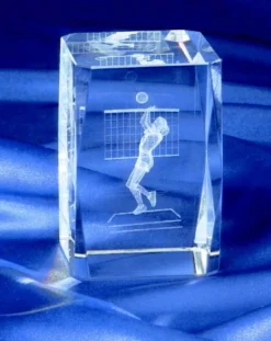 Excel Setter Crystal